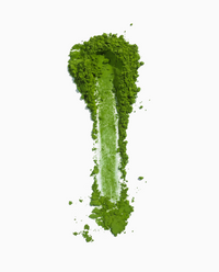 ceremonial matcha powder brushed vertically on white background